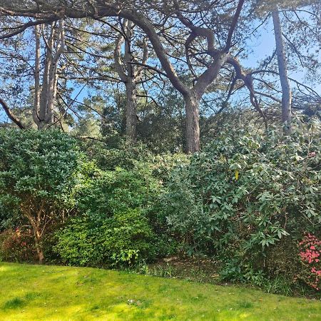 בורנמות' Peaceful Getaway In Forested Park מראה חיצוני תמונה