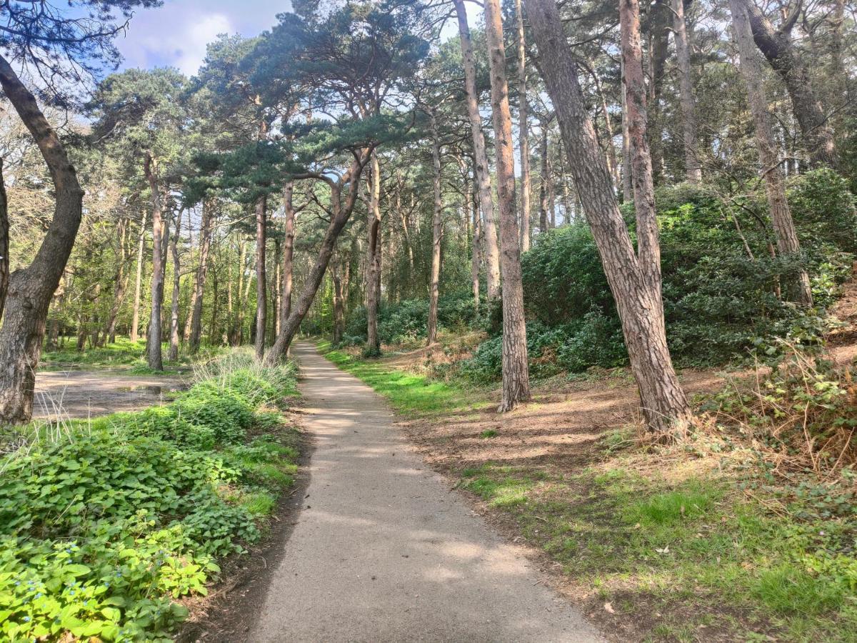 בורנמות' Peaceful Getaway In Forested Park מראה חיצוני תמונה